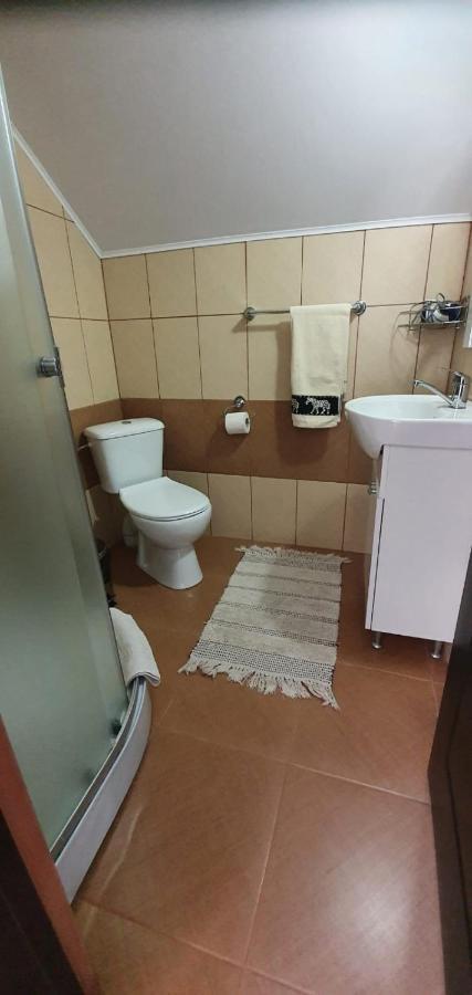 Casa De Oaspeti Laura Rîşnov エクステリア 写真